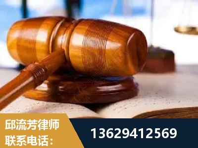 景洪-刑事案件