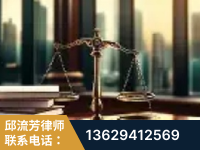 景洪-重大刑事案件处理