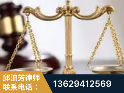 景洪-委托诉讼代理人出庭